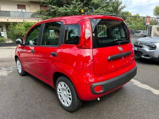 FIAT Panda usata, con Antifurto