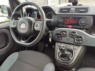 FIAT Panda usata 20