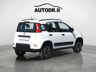 FIAT Panda usata, con Airbag testa