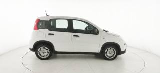 FIAT Panda usata, con Controllo trazione