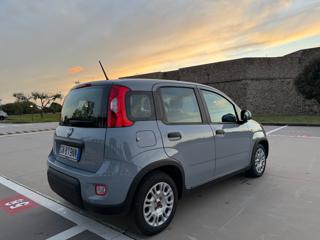 FIAT Panda usata 29