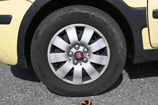 FIAT Panda usata, con Fendinebbia