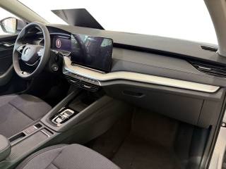 SKODA Octavia usata, con Cruise Control