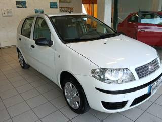 FIAT Punto usata 7