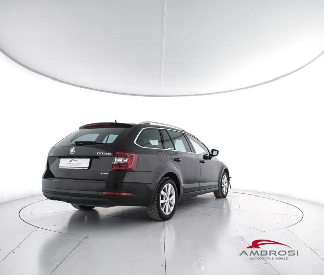 SKODA Octavia usata 2