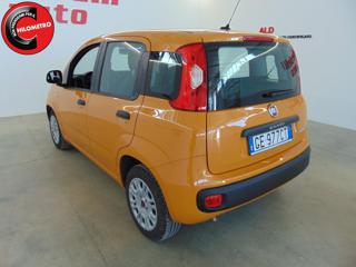 FIAT Panda usata, con Servosterzo