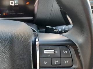 CITROEN C4 usata, con Volante in pelle