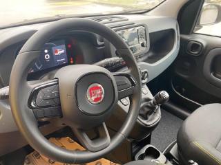 FIAT Panda usata, con Cruise Control