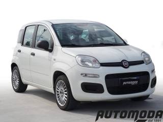 FIAT Panda usata, con Airbag Passeggero