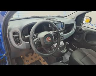 FIAT Pandina usata, con Cruise Control