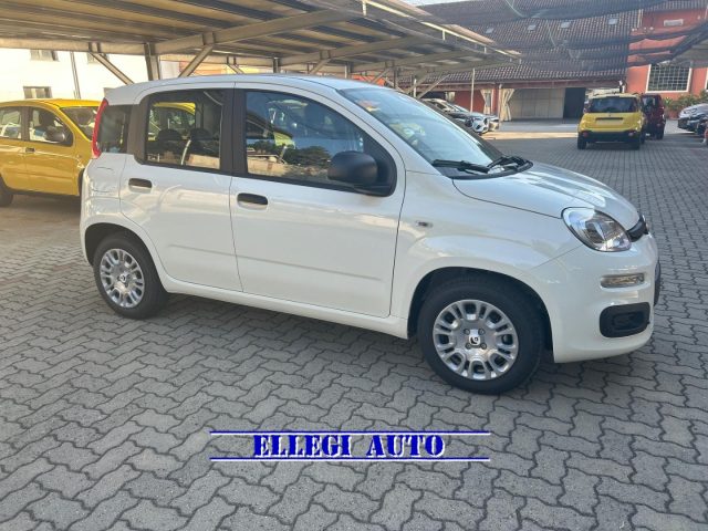 FIAT Panda usata, con Airbag