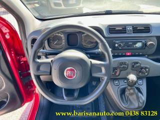 FIAT Panda usata, con Controllo trazione