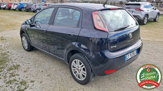 FIAT Punto usata, con Controllo trazione