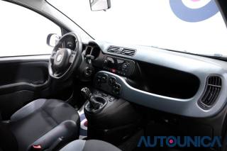 FIAT Panda usata 44