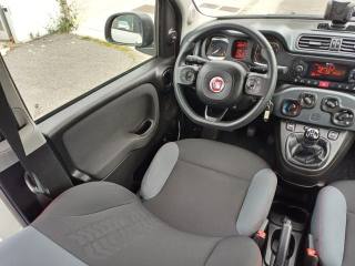 FIAT Panda usata, con Cronologia tagliandi