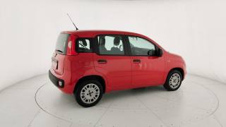 FIAT Panda usata 18