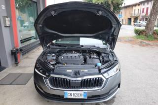 SKODA Octavia usata 171