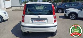 FIAT Panda usata, con Alzacristalli elettrici