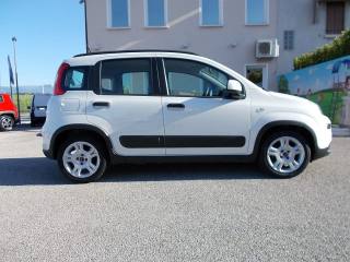 FIAT Panda usata, con Antifurto