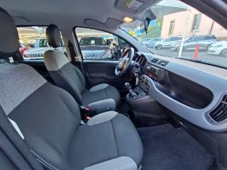FIAT Panda usata, con Immobilizzatore elettronico