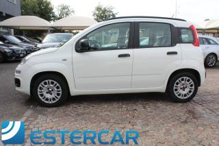 FIAT Panda usata 10