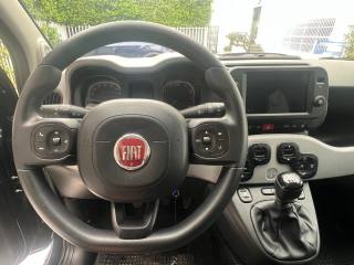 FIAT Panda usata, con Controllo automatico clima