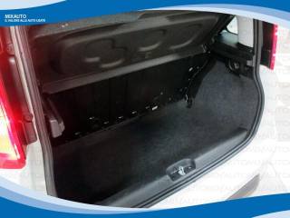FIAT Panda usata, con Chiusura centralizzata telecomandata