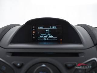 FORD Fiesta usata 14