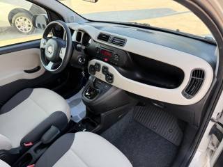 FIAT Panda usata 24