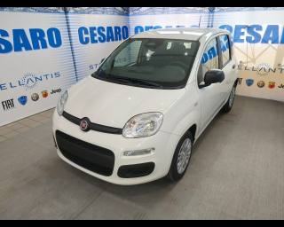 FIAT Panda usata, con Airbag laterali