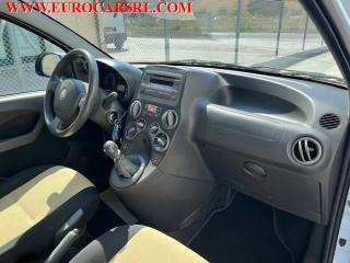 FIAT Panda usata 22