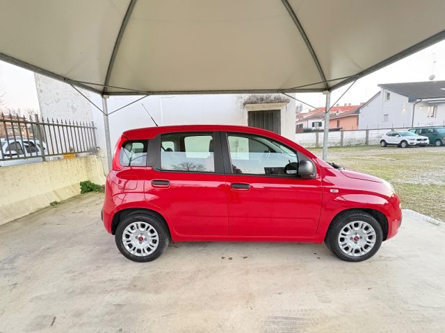 FIAT Panda usata, con Climatizzatore