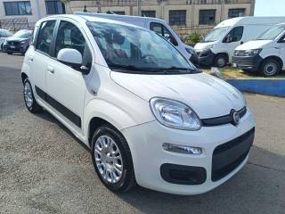 FIAT Panda usata 1