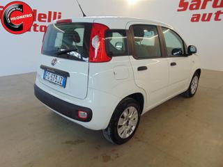 FIAT Panda usata, con Airbag testa