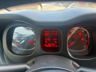 FIAT Panda usata 13