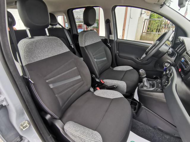 FIAT Panda usata 14