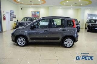 FIAT Panda usata, con Climatizzatore