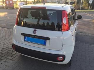 FIAT Panda usata, con Airbag Passeggero