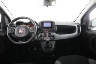 FIAT Panda usata 4