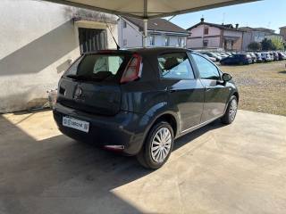 FIAT Punto usata, con Autoradio