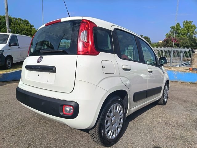 FIAT Panda usata 6