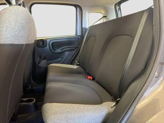 FIAT Panda usata 9