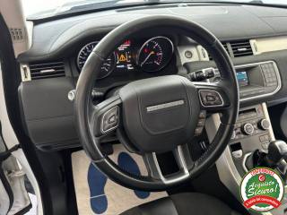 LAND ROVER Range Rover Evoque usata, con Fendinebbia