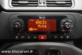 FIAT Panda usata, con Airbag testa