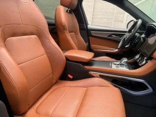 JAGUAR F-Pace usata, con ESP