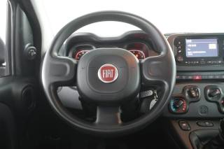 FIAT Panda usata 11