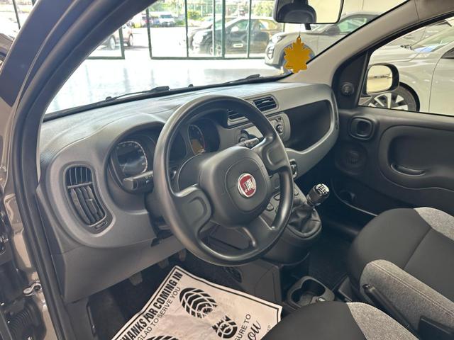 FIAT Panda usata 13