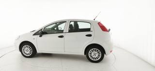 FIAT Punto usata 18