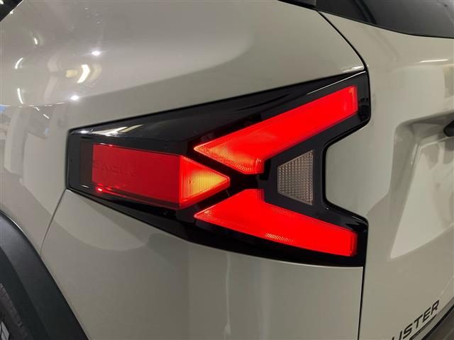 DACIA Duster usata, con Fendinebbia