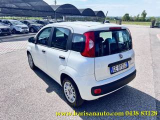 FIAT Panda usata, con Alzacristalli elettrici